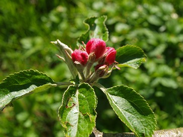 b0110999_22501327.jpg