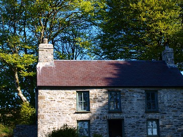 b0110999_22573959.jpg