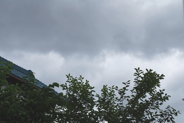 e0025300_14413419.jpg