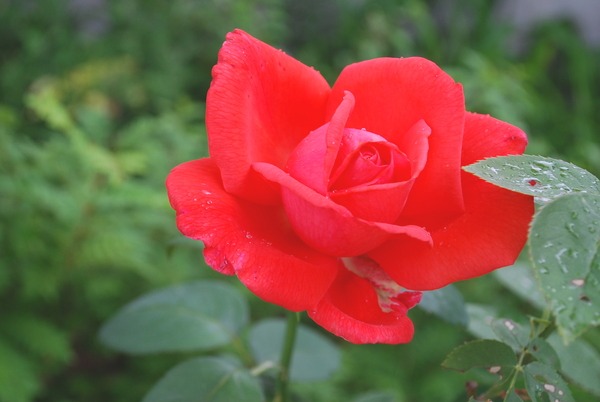 e0025300_14591519.jpg