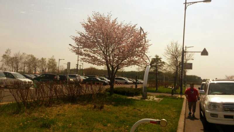 c0202101_01588.jpg