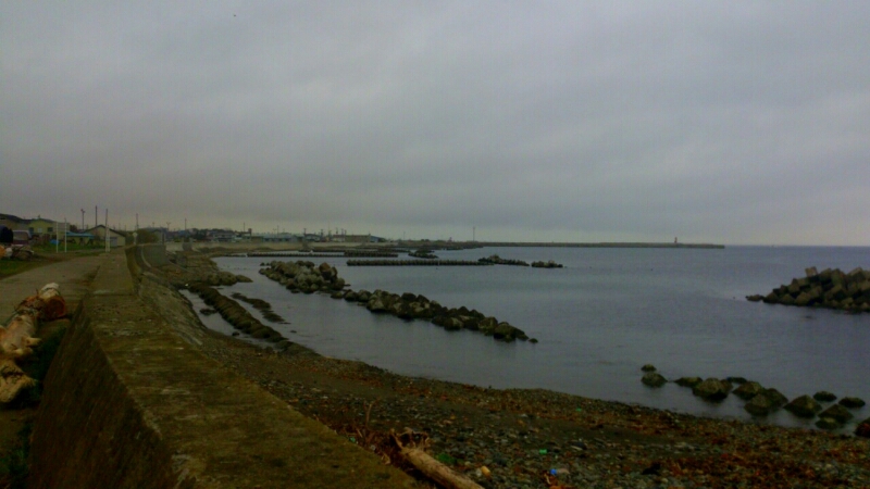c0202101_557575.jpg