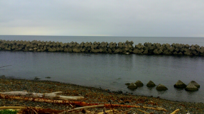 c0202101_60640.jpg