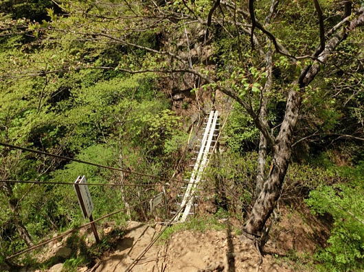 b0055202_22595949.jpg
