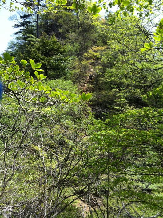 b0055202_2342199.jpg