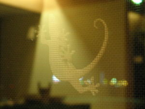 e0107304_2303331.jpg