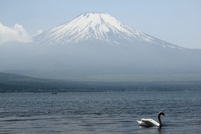 a0188405_1914629.jpg