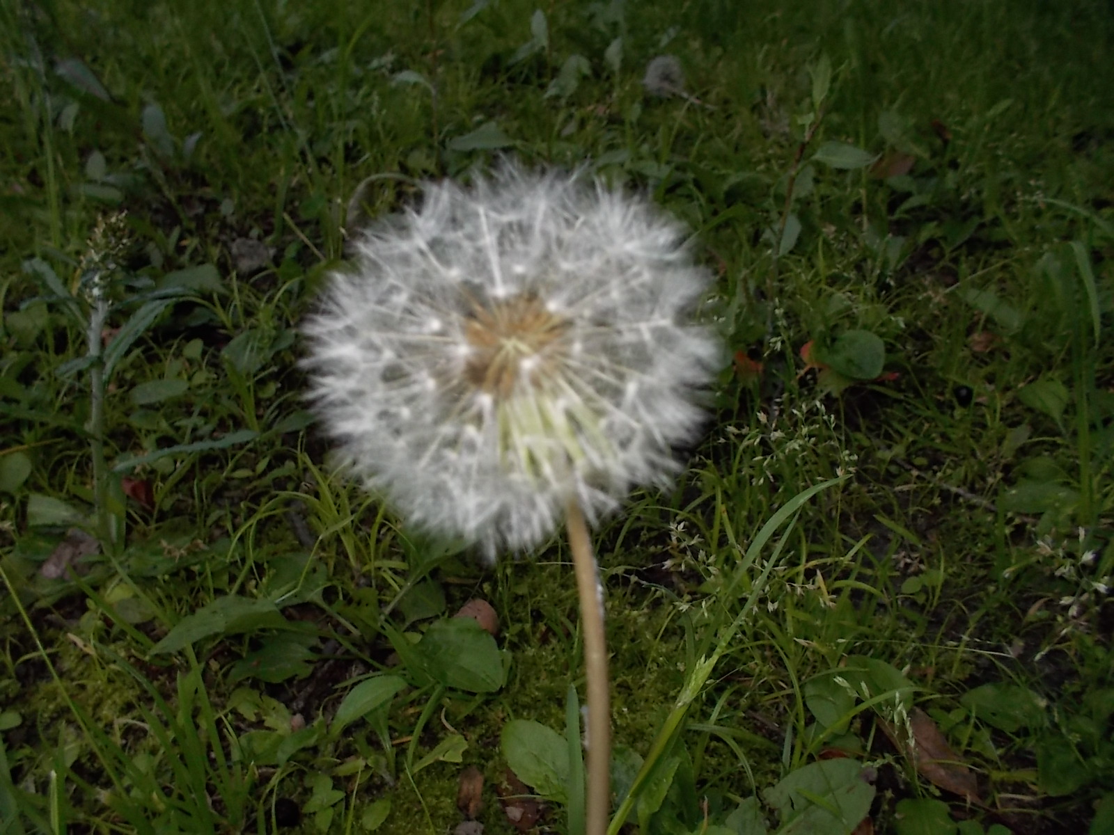 b0277505_18575623.jpg