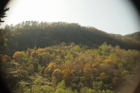 c0202705_2030577.jpg