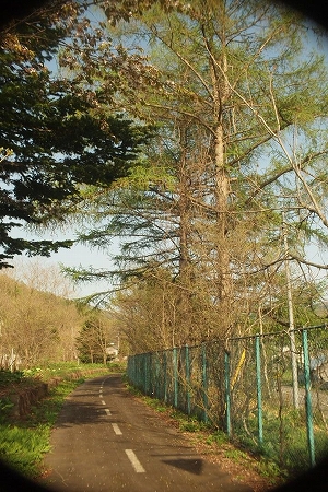 c0202705_2195895.jpg