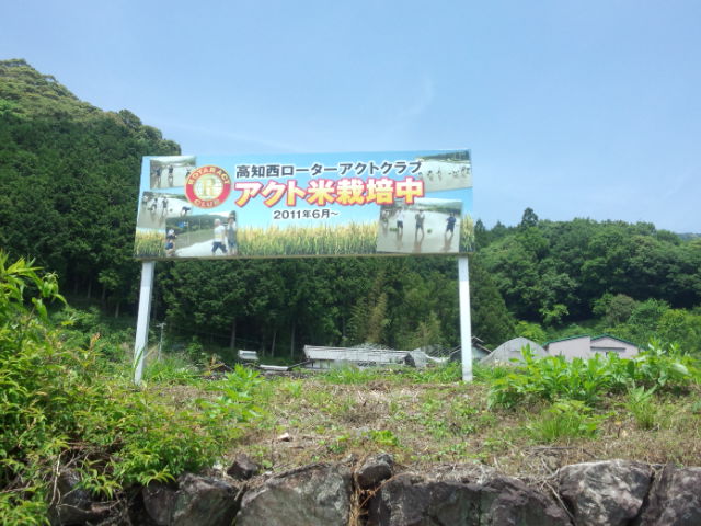 a0132631_12125996.jpg