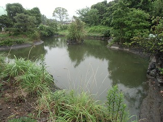 d0180132_19442337.jpg