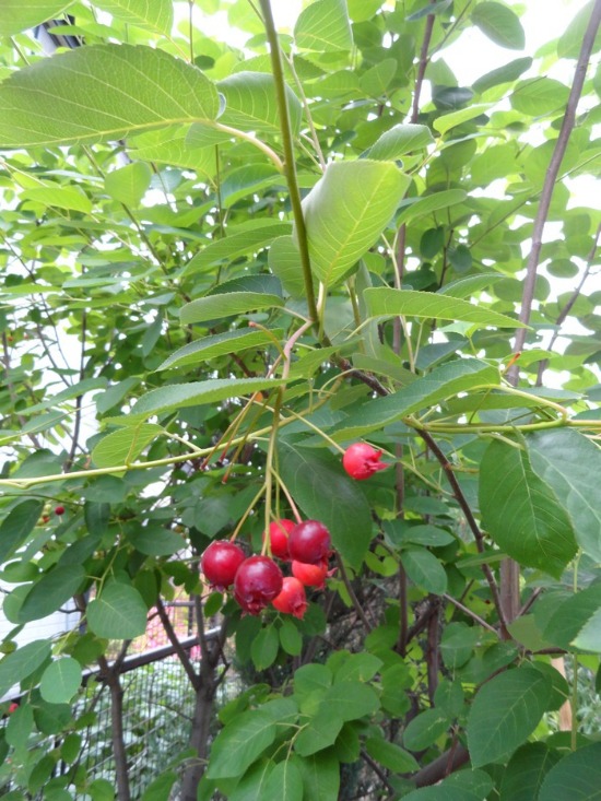 f0238932_22342721.jpg