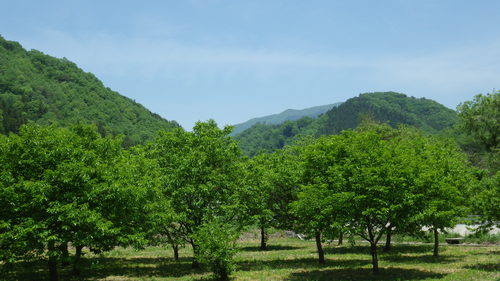 c0300035_905333.jpg