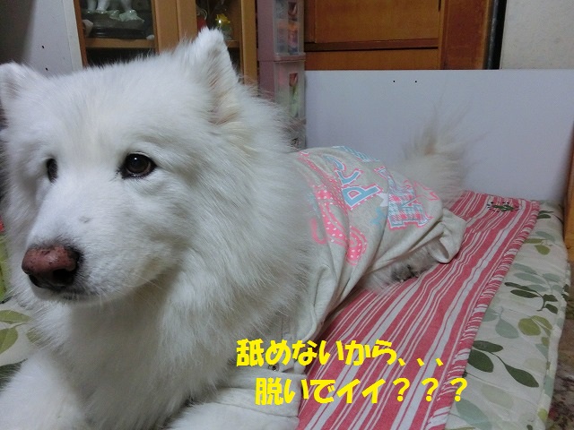 e0196135_22323071.jpg