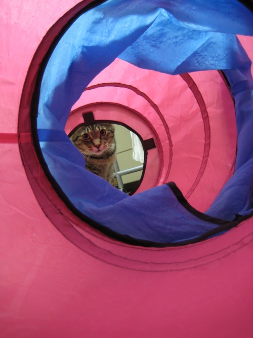 f0247039_9202389.jpg