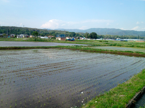 f0209740_12154383.jpg