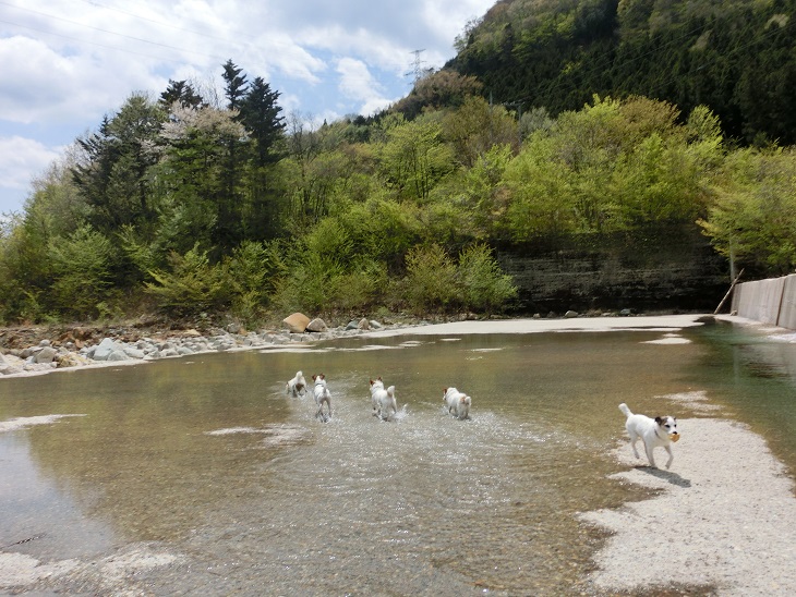 c0156345_15105291.jpg
