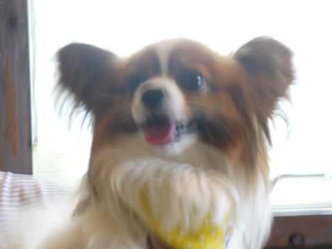 e0100046_18495210.jpg