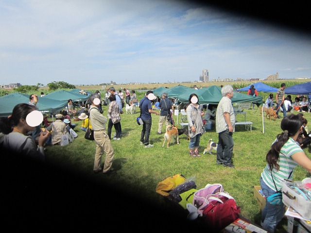 b0072650_1753043.jpg