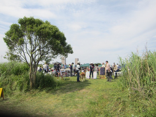 b0072650_17542849.jpg