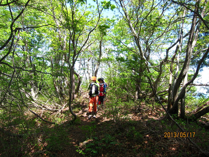 b0148050_2116419.jpg