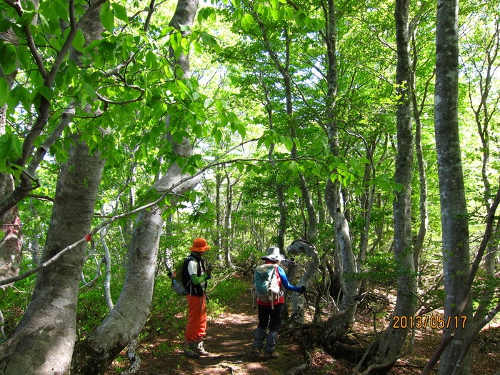b0148050_2118758.jpg