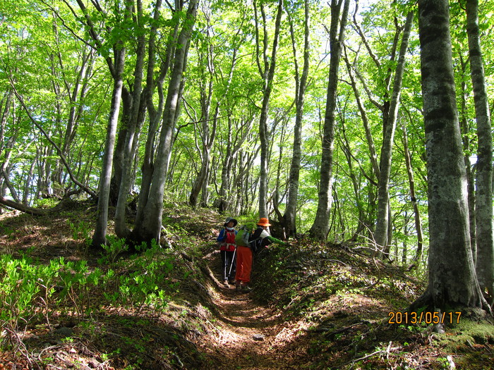 b0148050_2123051.jpg