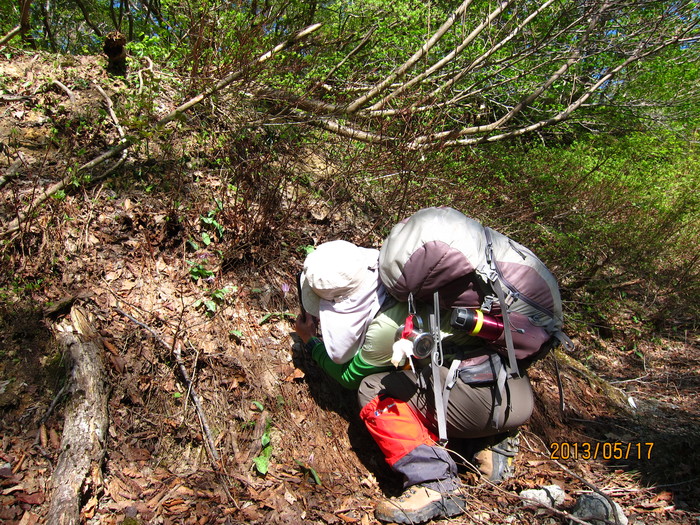 b0148050_21321100.jpg