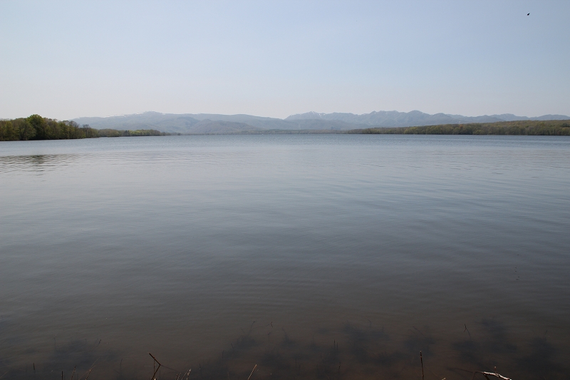 b0250154_2243176.jpg
