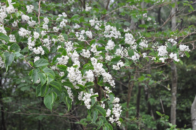 b0104861_190543.jpg