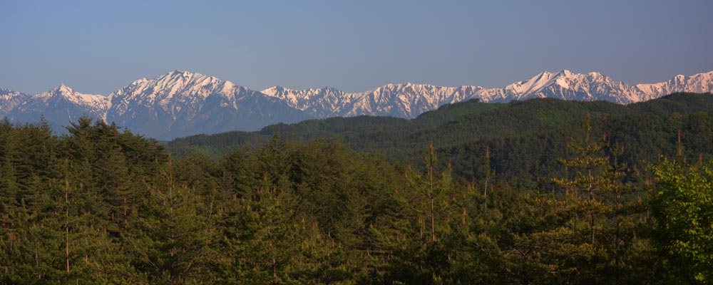 c0043361_20483277.jpg