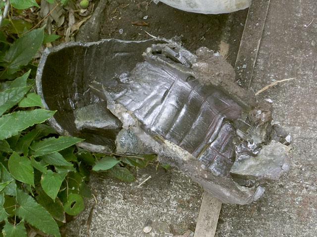 c0068168_17503195.jpg