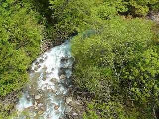 e0160568_125639.jpg