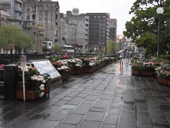 b0159585_14321940.jpg
