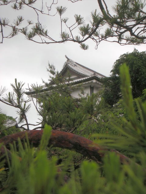 b0147093_16185783.jpg