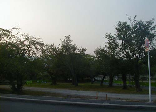d0053294_023243.jpg