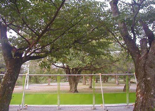 d0053294_0233269.jpg