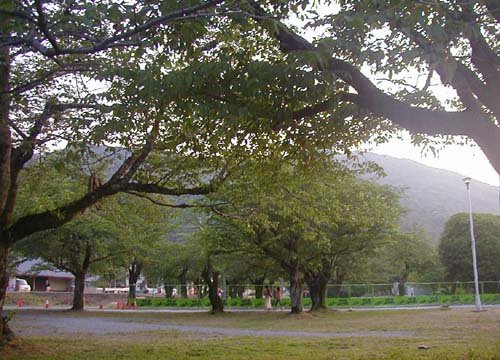 d0053294_0233691.jpg
