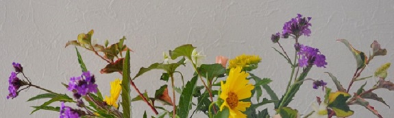 c0119197_842261.jpg