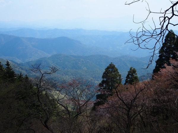 b0039898_23274559.jpg