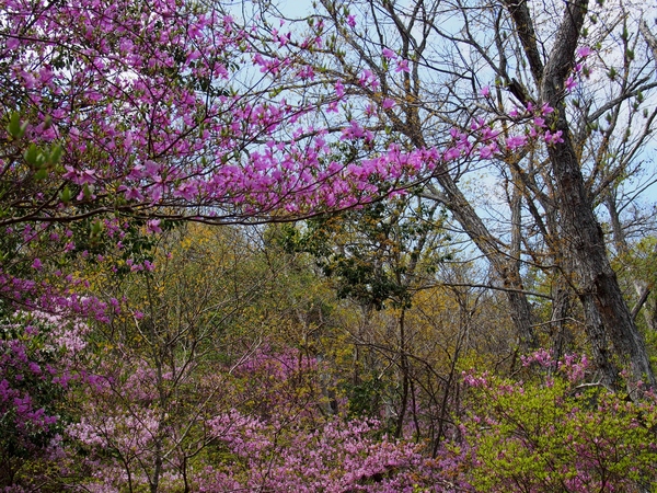 b0039898_23284764.jpg