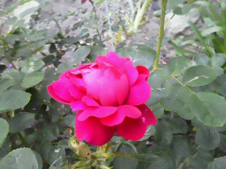 c0272200_1253315.jpg