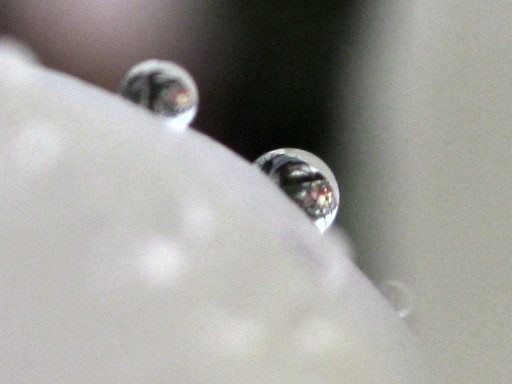 f0236201_15401177.jpg