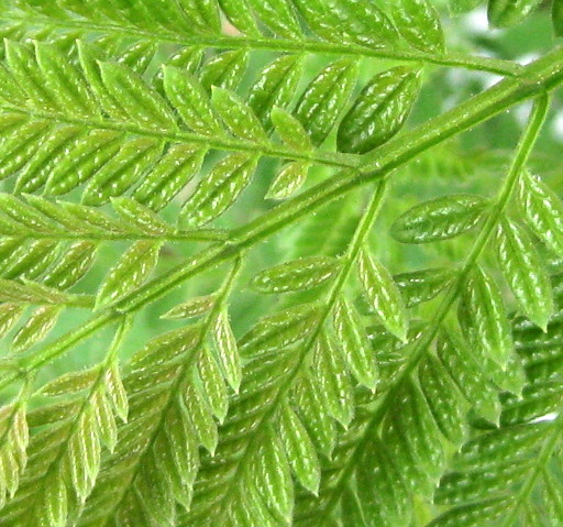 f0236201_15404990.jpg
