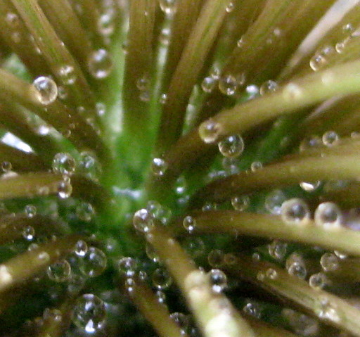 f0236201_1542562.jpg