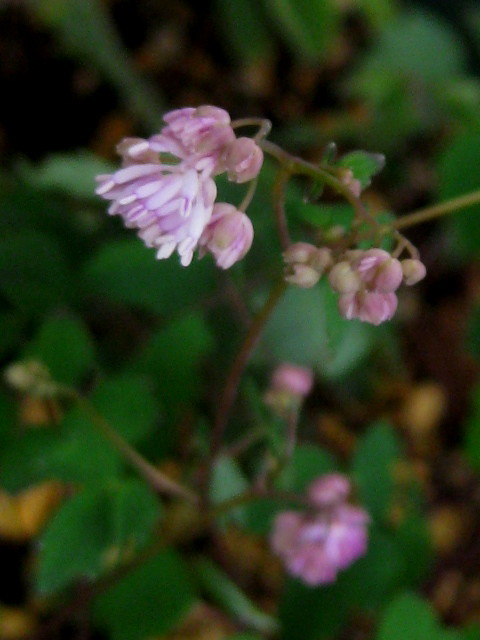 f0236201_15442621.jpg
