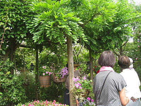 d0046702_75871.jpg