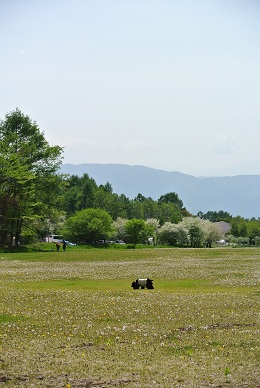 a0134004_17687.jpg