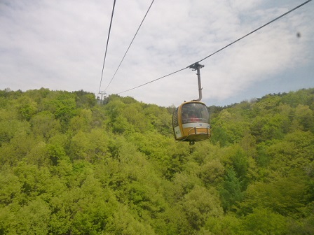 a0140305_1313364.jpg